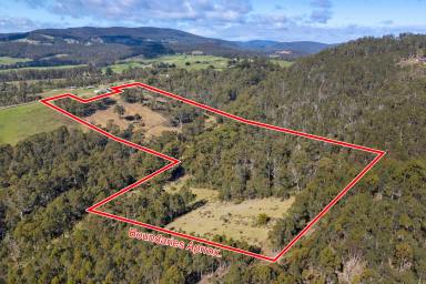 Residential Block For Sale - TAS - Premaydena - 7185 - A Natural Escape on Over 40 Acres, set Within the Hills of Premaydena  (Image 2)
