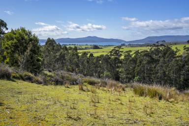 Residential Block For Sale - TAS - Premaydena - 7185 - A Natural Escape on Over 40 Acres, set Within the Hills of Premaydena  (Image 2)