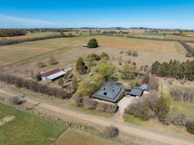 Livestock Auction - NSW - Millthorpe - 2798 - A well-presented and historic circa 1860 residence  (Image 2)
