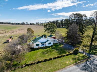 Livestock Auction - NSW - Forest Reefs - 2798 - Held by the same family since 1899  (Image 2)