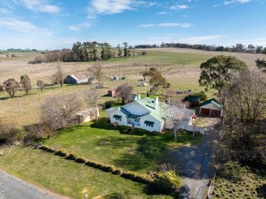 Livestock Auction - NSW - Forest Reefs - 2798 - Held by the same family since 1899  (Image 2)