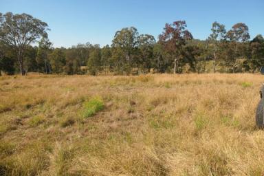 Lifestyle For Sale - NSW - Tabulam - 2469 - ROLLIN ON THE RIVER  (Image 2)