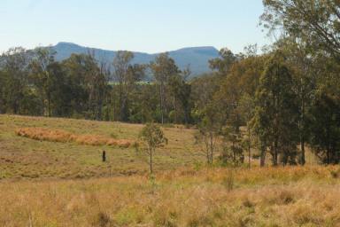 Lifestyle For Sale - NSW - Tabulam - 2469 - ROLLIN ON THE RIVER  (Image 2)
