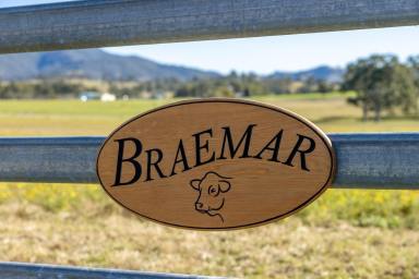 Livestock Auction - NSW - Fishers Hill - 2421 - Braemar - Fodder Factory & Excellent Beef Enterprise  (Image 2)