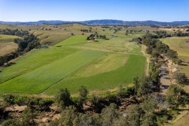 Livestock Auction - NSW - Fishers Hill - 2421 - Braemar - Fodder Factory & Excellent Beef Enterprise  (Image 2)