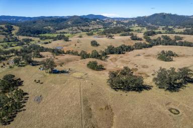 Livestock Auction - NSW - Bakers Creek - 2359 - Bakers Run - Large scale property – ideal cattle enterprise  (Image 2)