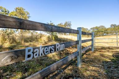 Livestock Auction - NSW - Bakers Creek - 2422 - Bakers Run - Large scale property – ideal cattle enterprise  (Image 2)