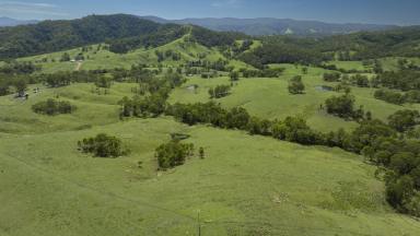 Livestock For Sale - NSW - Gloucester - 2422 - Prime Rural Holding - Quality Cattle Country with Outstanding Development Potential  (Image 2)