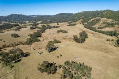 Livestock Auction - NSW - Bakers Creek - 2359 - Bakers Run - Large scale property – ideal cattle enterprise  (Image 2)