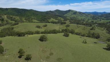 Livestock For Sale - NSW - Gloucester - 2422 - Prime Rural Holding - Quality Cattle Country with Outstanding Development Potential  (Image 2)