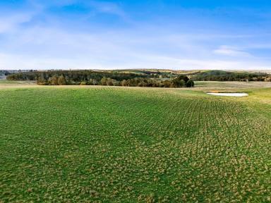 Livestock Auction - NSW - Gurrundah - 2581 - "Marsland Homestead" & "Marsland Grazing" - 2 excellent properties – to be offered separately  (Image 2)