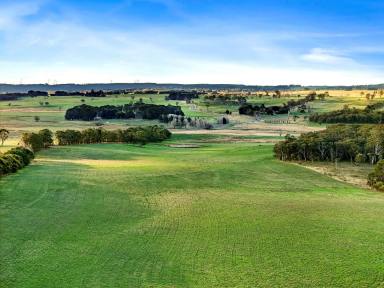 Livestock Auction - NSW - Gurrundah - 2581 - "Marsland Homestead" & "Marsland Grazing" - 2 excellent properties – to be offered separately  (Image 2)