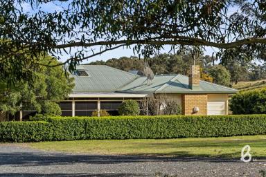 Other (Rural) For Sale - NSW - Glendon Brook - 2330 - Complete Privacy | 360° Elevated Rural Views  (Image 2)