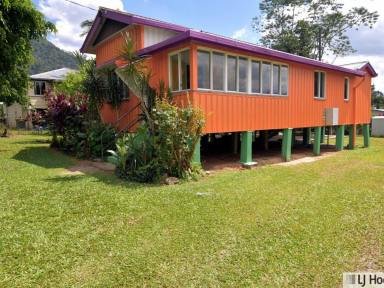 House For Sale - QLD - Tully - 4854 - Charming Renovated Home with picturesque Mountain Views  (Image 2)