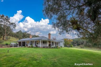 Acreage/Semi-rural For Sale - VIC - Pakenham - 3810 - An Exceptional Lifestyle  (Image 2)