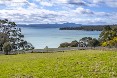 Residential Block For Sale - TAS - Saltwater River - 7186 - Wake Up to Norfolk Bay - Saltwater River Bliss with Beach at Your Doorstep  (Image 2)