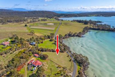 Residential Block For Sale - TAS - Saltwater River - 7186 - Wake Up to Norfolk Bay - Saltwater River Bliss with Beach at Your Doorstep  (Image 2)