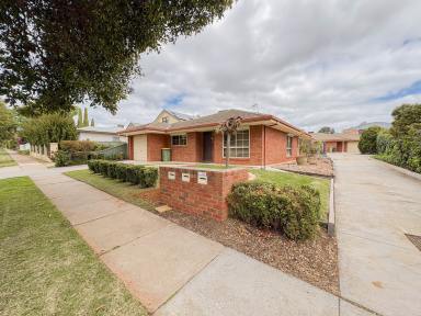 Unit For Lease - VIC - Swan Hill - 3585 - Prime Location  (Image 2)