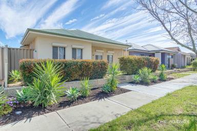 House For Sale - WA - Ridgewood - 6030 - LOCATION LOCATION!!  (Image 2)