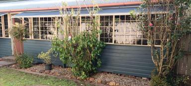 House Sold - QLD - Toowoomba - 4350 - Does your gnome need a new home?  (Image 2)