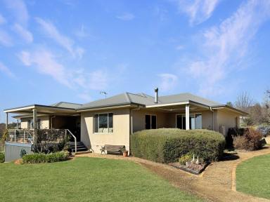 House For Sale - NSW - Young - 2594 - Stunning 2Ha Lifestyle Property With Town Water  (Image 2)