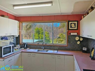House For Sale - NSW - Cumberland Reach - 2756 - A Property For Nature Lovers, First Home Buyers, Investors, Tradies or Renovators  (Image 2)