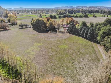 Other (Rural) Auction - NSW - Tumut - 2720 - Tumut River Frontage - Auction  (Image 2)