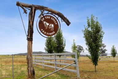 Other (Rural) Auction - NSW - Gundagai - 2722 - "Locksley" Eastern Riverina  (Image 2)
