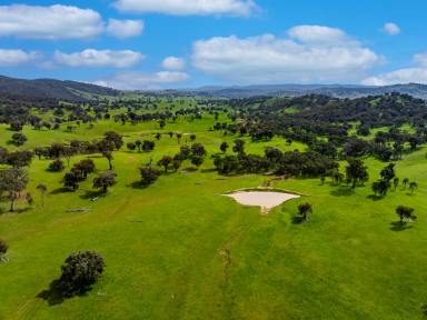 Other (Rural) Auction - NSW - Gundagai - 2722 - "Locksley" Eastern Riverina  (Image 2)