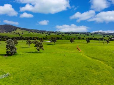 Other (Rural) Auction - NSW - Gundagai - 2722 - "Locksley" Eastern Riverina  (Image 2)