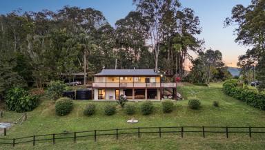 House For Sale - QLD - Kin Kin - 4571 - Character Home on 5 Usable Acres in the Noosa Hinterland  (Image 2)