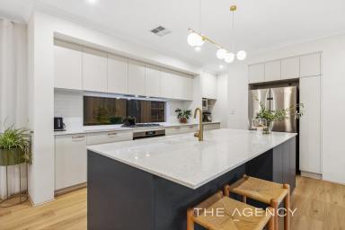 House For Sale - WA - Treeby - 6164 - Pretty and Perfect All Rounder  (Image 2)