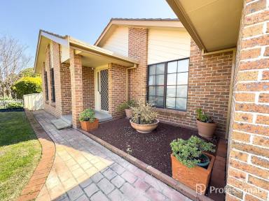 House For Lease - NSW - Hillvue - 2340 - 4 Bedroom House for Lease Tamworth  (Image 2)