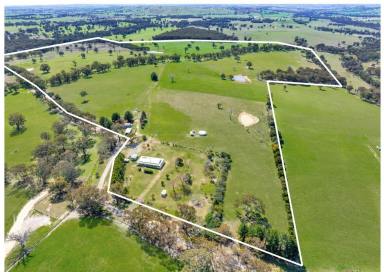 Lifestyle Auction - NSW - Garland - 2797 - BEAUTIFUL FAMILY HOME SET ON 228ACRES!  (Image 2)