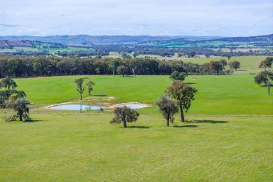 Mixed Farming Auction - NSW - Garland - 2797 - BEAUTIFUL FAMILY HOME SET ON 228ACRES!  (Image 2)