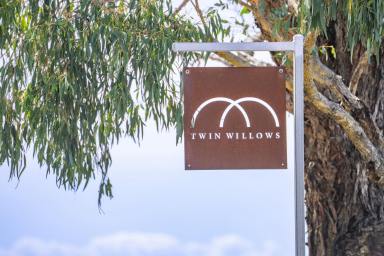 Mixed Farming Auction - NSW - Garland - 2797 - BEAUTIFUL FAMILY HOME SET ON 228ACRES!  (Image 2)