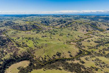 Other (Rural) Auction - NSW - Crooked Corner - 2583 - Escape to the Hills  (Image 2)