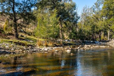 Other (Rural) Auction - NSW - Crooked Corner - 2583 - Escape to the Hills  (Image 2)