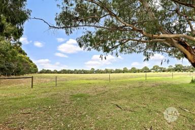 House For Sale - VIC - Somers - 3927 - Just Moments from the Shore  (Image 2)