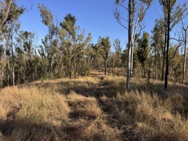 Other (Rural) For Sale - QLD - Boyne Valley - 4680 - Boyne Valley Starter Property  (Image 2)