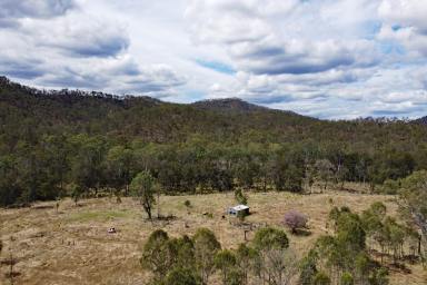 Other (Rural) For Sale - QLD - Boyne Valley - 4680 - Boyne Valley Starter Property  (Image 2)
