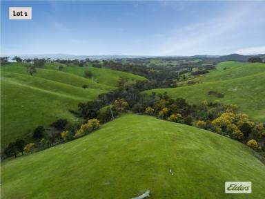 Residential Block For Sale - VIC - Willowmavin - 3764 - Dramatic Grazing Country - Untouched Beauty  (Image 2)