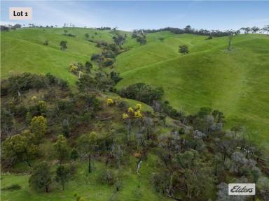 Residential Block For Sale - VIC - Willowmavin - 3764 - Dramatic Grazing Country - Untouched Beauty  (Image 2)