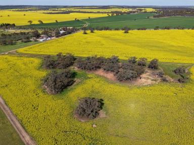 Mixed Farming For Sale - WA - Balkuling - 6383 - "Yarrabin"                     64.83ha (160.13acres)  (Image 2)