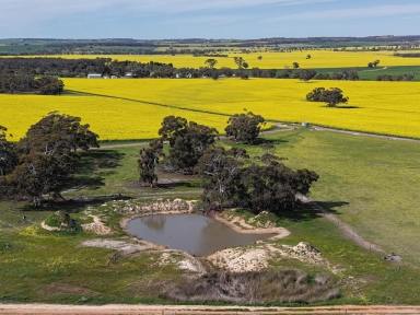 Mixed Farming For Sale - WA - Balkuling - 6383 - "Yarrabin"                     64.83ha (160.13acres)  (Image 2)
