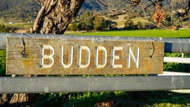 Mixed Farming Auction - NSW - Bylong - 2849 - “Budden” – Prime Alluvial Country in the Heart of the Bylong Valley  (Image 2)