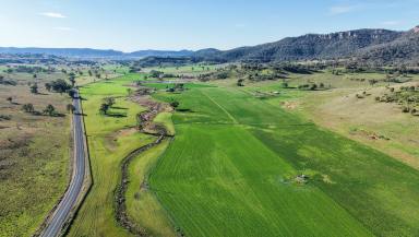 Mixed Farming Auction - NSW - Bylong - 2849 - “Budden” – Prime Alluvial Country in the Heart of the Bylong Valley  (Image 2)