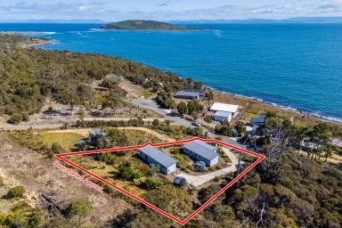 House For Sale - TAS - White Beach - 7184 - "Seaside Life. Island Views. Income Ready." (Image 2)