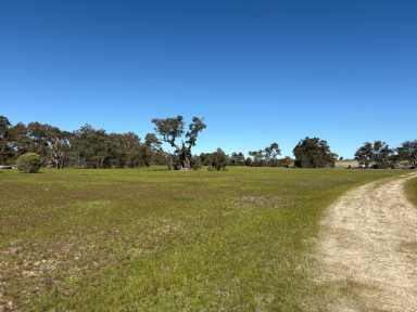 House For Sale - WA - Wanerie - 6503 - Discover your perfect lifestyle retreat!  (Image 2)