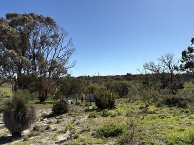 House For Sale - WA - Wanerie - 6503 - Discover your perfect lifestyle retreat!  (Image 2)